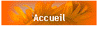 Accueil